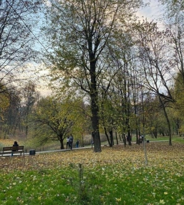 Яку погоду у Львові та області прогнозують на 7 листопада