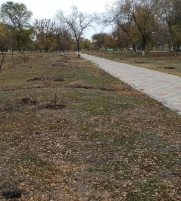 В громаді півдня Одещини обіцяють винагороду за викриття варварів
