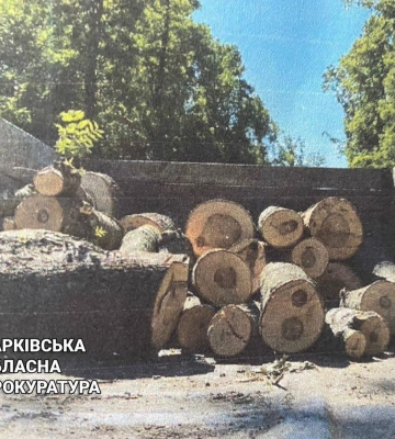 Двоє чоловіків з Полтавщини обманом рубали дерева на Харківщині
