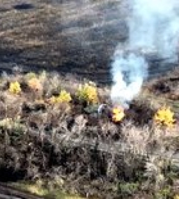 ВСУ уничтожили бронетехнику россиян в Луганской области вместе с экипажем – видео