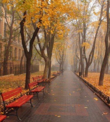 Погода в Одессе: днем 9 ноября потеплеет?