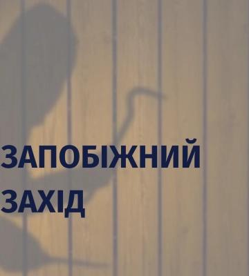 Мешканця Мукачева вкотре викрили на серії крадіжок і взяли під варту
