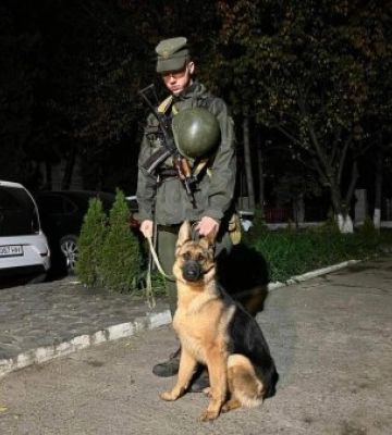 Поліція посилено патрулює вулиці населених пунктів Закарпаття, зокрема в темну пору доби