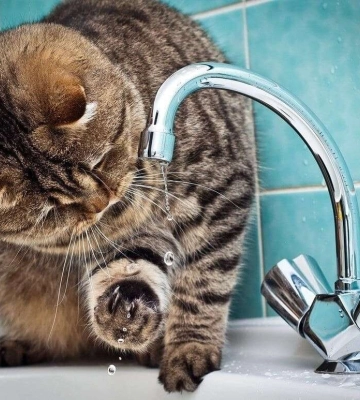У Дніпрі масштабне відключення води: адреси