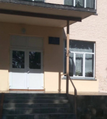 Покрівлю гімназії в селі Плесецьке планують відремонтувати майже за 10 млн гривень