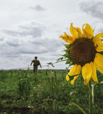 Карта бойових дій в Україні 11 листопада