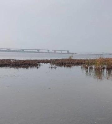 Антоновский мост в Херсоне обрушился: в воду упало несколько пролетов