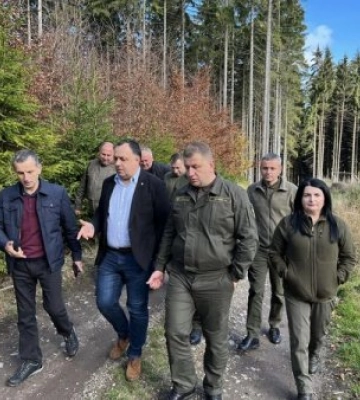 Закарпатські саджанці листяних дерев можуть експортуватися до країн ЄС
