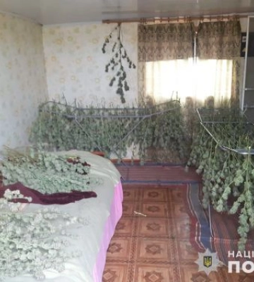 Мешканець Запоріжжя перетворив три будинки та квартиру на склади наркотиків