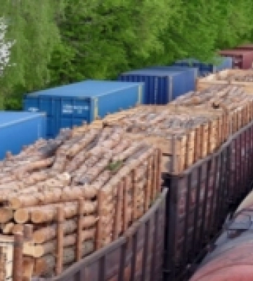 Тисячі вагонів дров: Волинь та Рівненщина рятуватиме прифронтові райони
