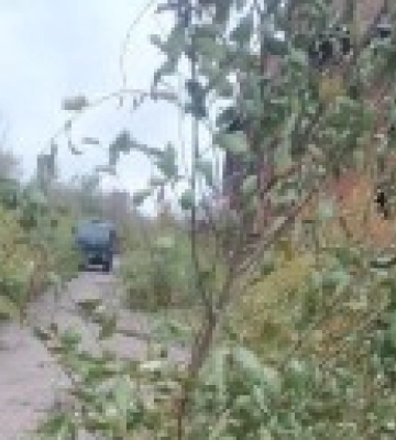 &quot;Наслідки херсонського відступу росіян&quot;: у Маріуполі різко побільшало окупантів - радник мера