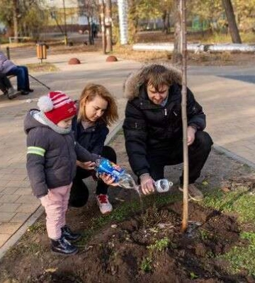 У Дніпрі в сквері на Калинівському (Клочко-6) з&amp;#039;явилися родинні дерева. Фото