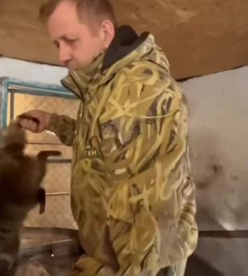 Россияне признались в краже енота из зоопарка Херсона и показали видео: как реагируют украинцы