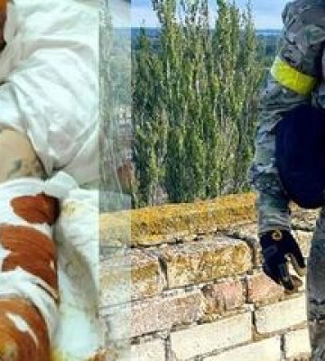 Допомога: захисник із Полтавщини, який звільняв Херсонщину, отримав поранення