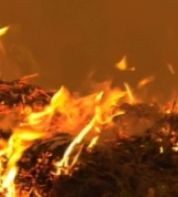 В Липинах сталась пожежа: постраждала жінка