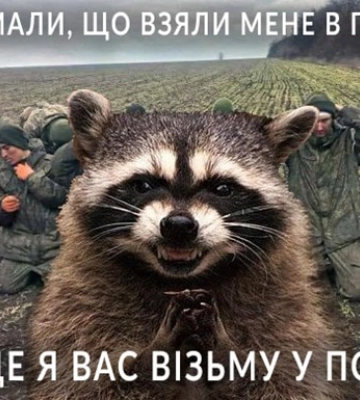 Крадіжка єнота. Мережа жартує та вимагає обмін