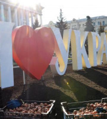 У центрі Києва висаджують 125 тисяч тюльпанів, подарованих Королівством Нідерланди 