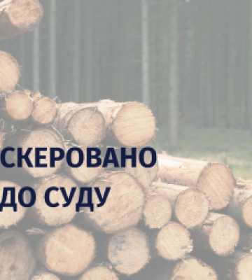 Керівника Закарпатського ОУЛМГ та його підлеглого судитимуть за  незаконну рубку дерев зі збитками у 5,4 млн грн