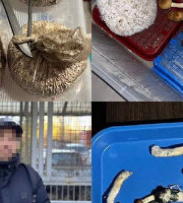 У Києві затримали росіянина, який виготовляв наркотичні речовини та збував їх по всій Україні
