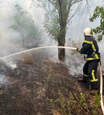 3 та в ніч проти 4 серпня на території Миколаївської області було зареєстровано 52 пожежі