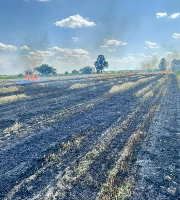 На Волині через підпал стерні ледь не згоріло зернове поле: палія оштрафували