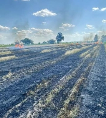 Через спалювання стерні на Ковельщині ледь не згоріло зернове поле 