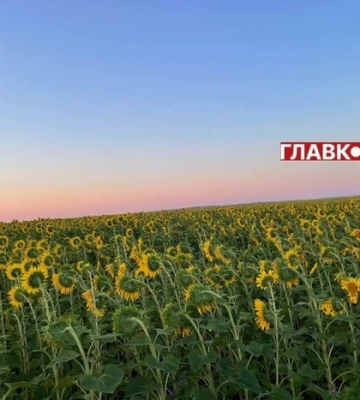 В Україні сонячно та без опадів: погода на 20 серпня