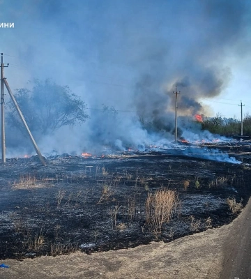 475 пожеж за тиждень: Одещина задихається від диму, збитки вже 27 мільярдів
