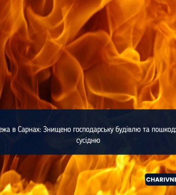 У Сарнах вогонь знищив господарську будівлю та сіно