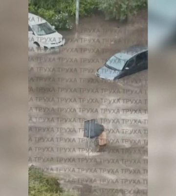 Вырванные деревья, перебои со светом, затопило улицы: в Киеве — непогода 