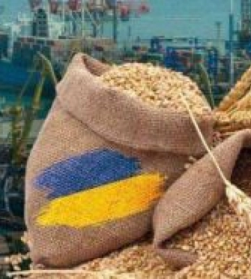 Український агроекспорт становить понад 11 мільярдів доларів за пів року