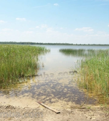 На Волині причаїлось «мутне» озеро з цінним мулом та незайманою природою 