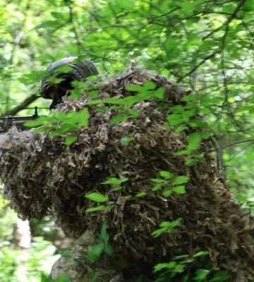 Генштаб о ситуации на фронте: 113 боевых столкновений, оккупанты применили 1564 дрона-камикадзе