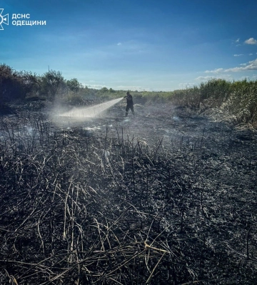 Майже пів тисячі пожеж в екосистемах ліквідували рятувальники Одещини за тиждень 