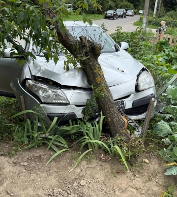 Водійка у Дубні врізалася в дерево