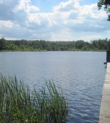 За 85 км від Луцька – озеро з цілющою прозорою водою, яке люблять фанати довгих запливів 