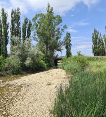 Засуха в Крыму: водохранилища полуострова стремительно теряют воду