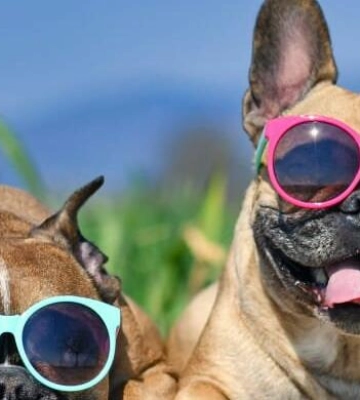 Спекотна п&#039;ятниця в Одесі: до +32°C з ясним небом