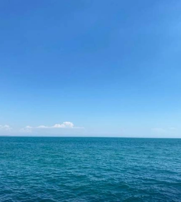 Купальный сезон в Одессе: насколько теплая вода в Черном море в августе