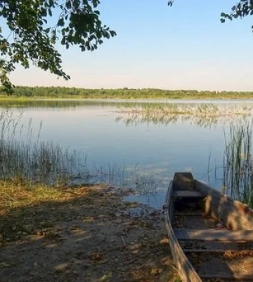 На Волині причаїлось «мутне» озеро з цінним мулом та незайманою природою 