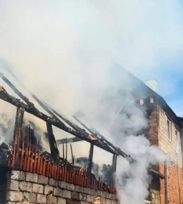 Вогонь, сіно і щасливе хрю: як рятувальники врятували трьох поросят
