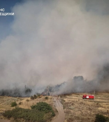 Масштабну пожежу сухої рослинності на площі 25 га ліквідували на Одещині