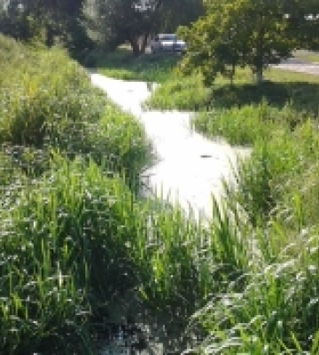 Готують проєкт розчищення річки Омелянівка у Луцькій громаді