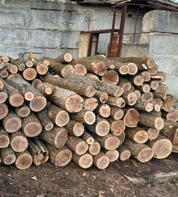 В Харьковской области блокировали масштабную вырубку деревьев