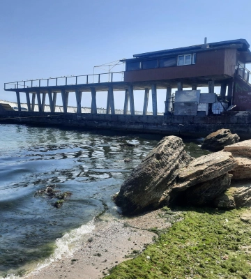 Море стало зеленим від водоростей: екологи досліджують морську воду в Одесі