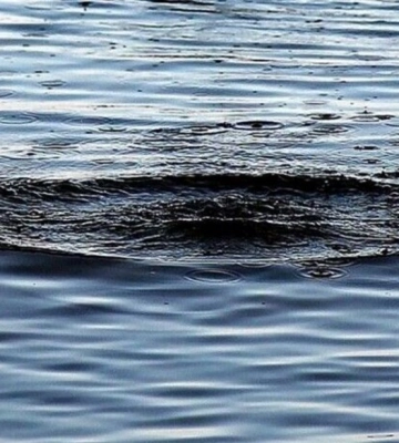 Тіло зниклого 9-річного хлопчика було виявлено без ознак життя у водоймі