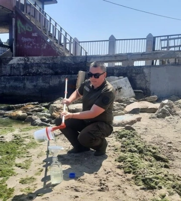 Екологи в Одесі взялись досліджувати «цвітіння» Чорного моря