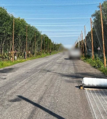Генштаб показав, як на Сумщині будують тунелі для захисту від дронів