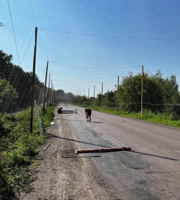 На Сумщине над дорогами строят &quot;антидроновые тоннели&quot;. Генштаб показал процесс  – фото