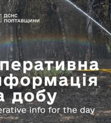 У Великобудищанській громаді горів лісовий масив